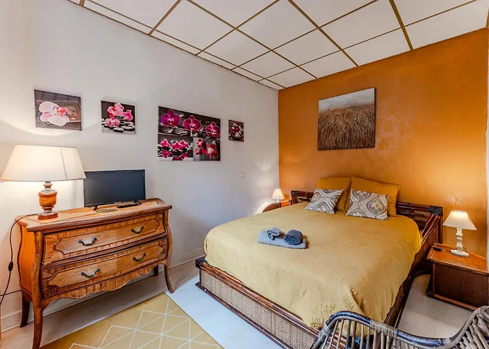 La Palmeraie 300m Plage, Calme آركاشو